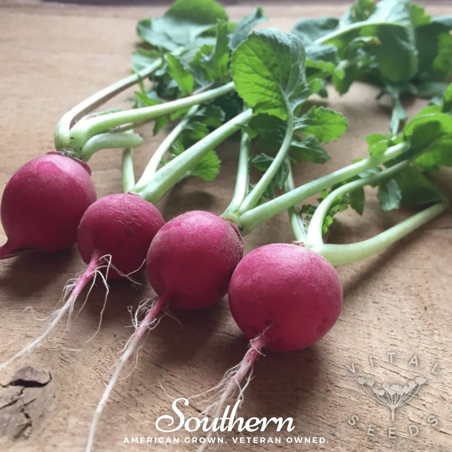 Cherry Belle Radish ā 250 Seeds