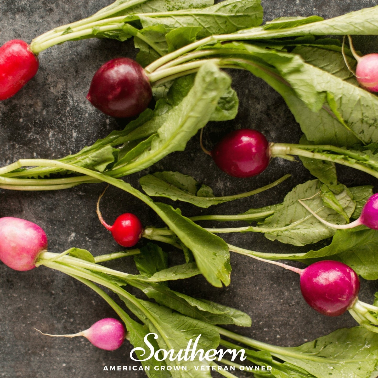 Easter Egg Radish ā 250 Seeds