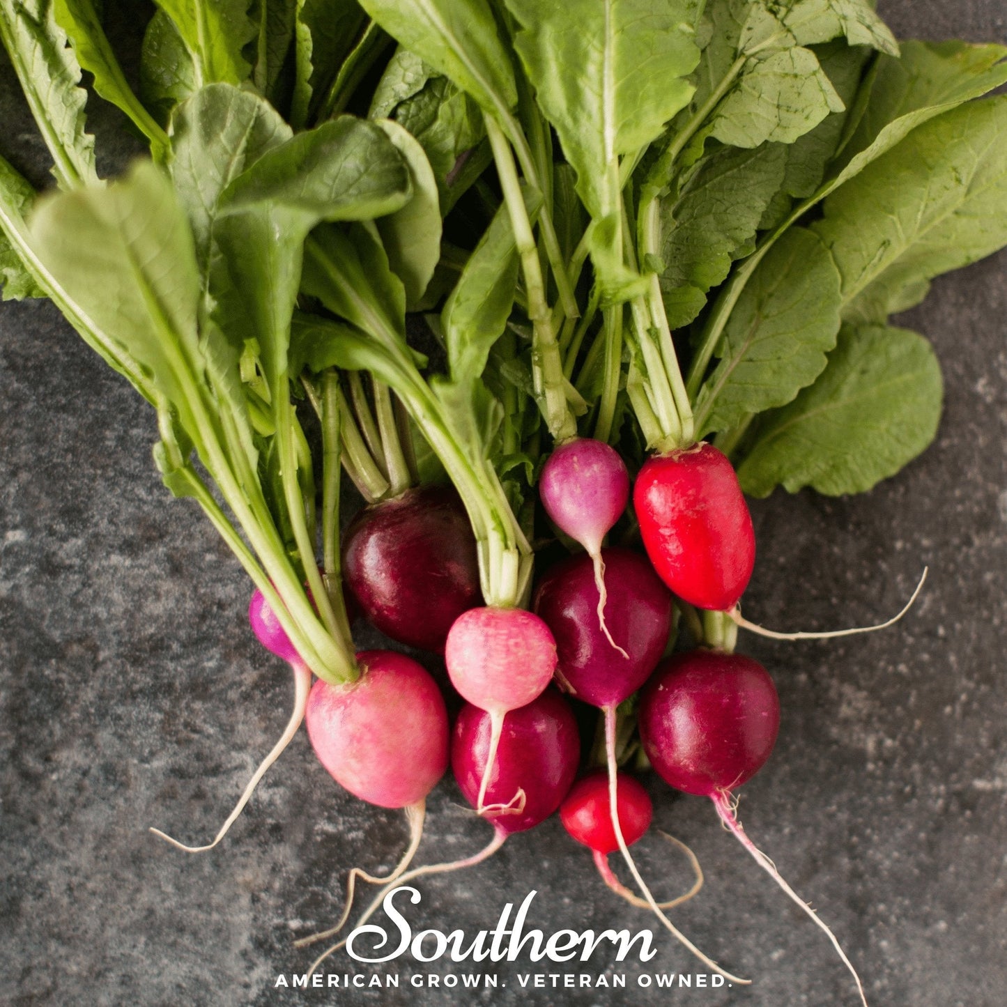 Easter Egg Radish ā 250 Seeds
