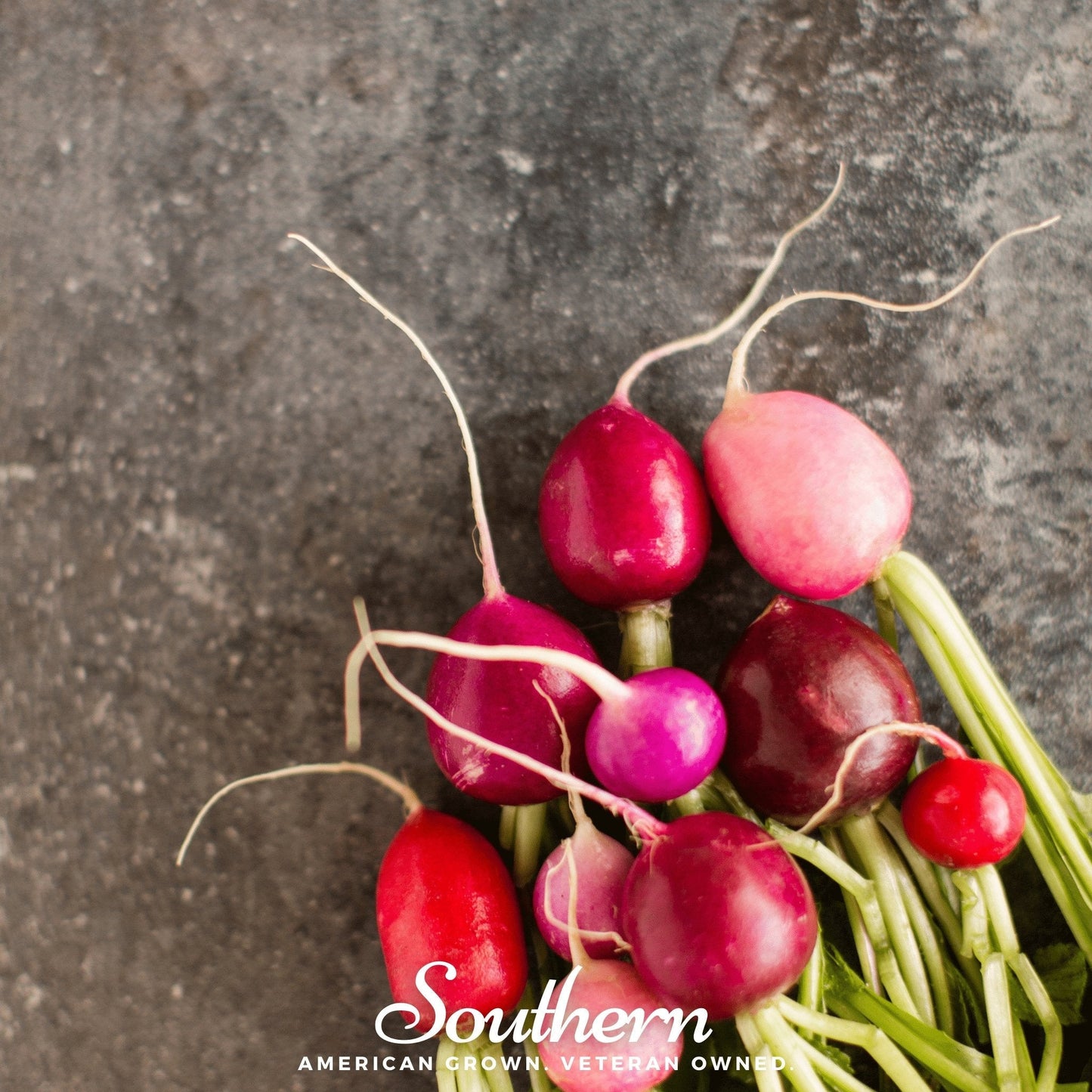 Easter Egg Radish ā 250 Seeds