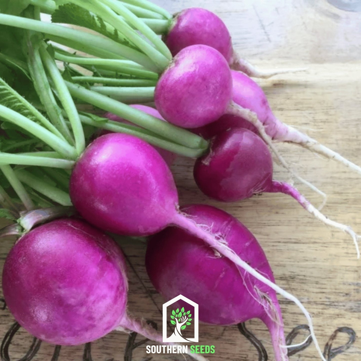 Purple Plum Radish ā 250 Seeds
