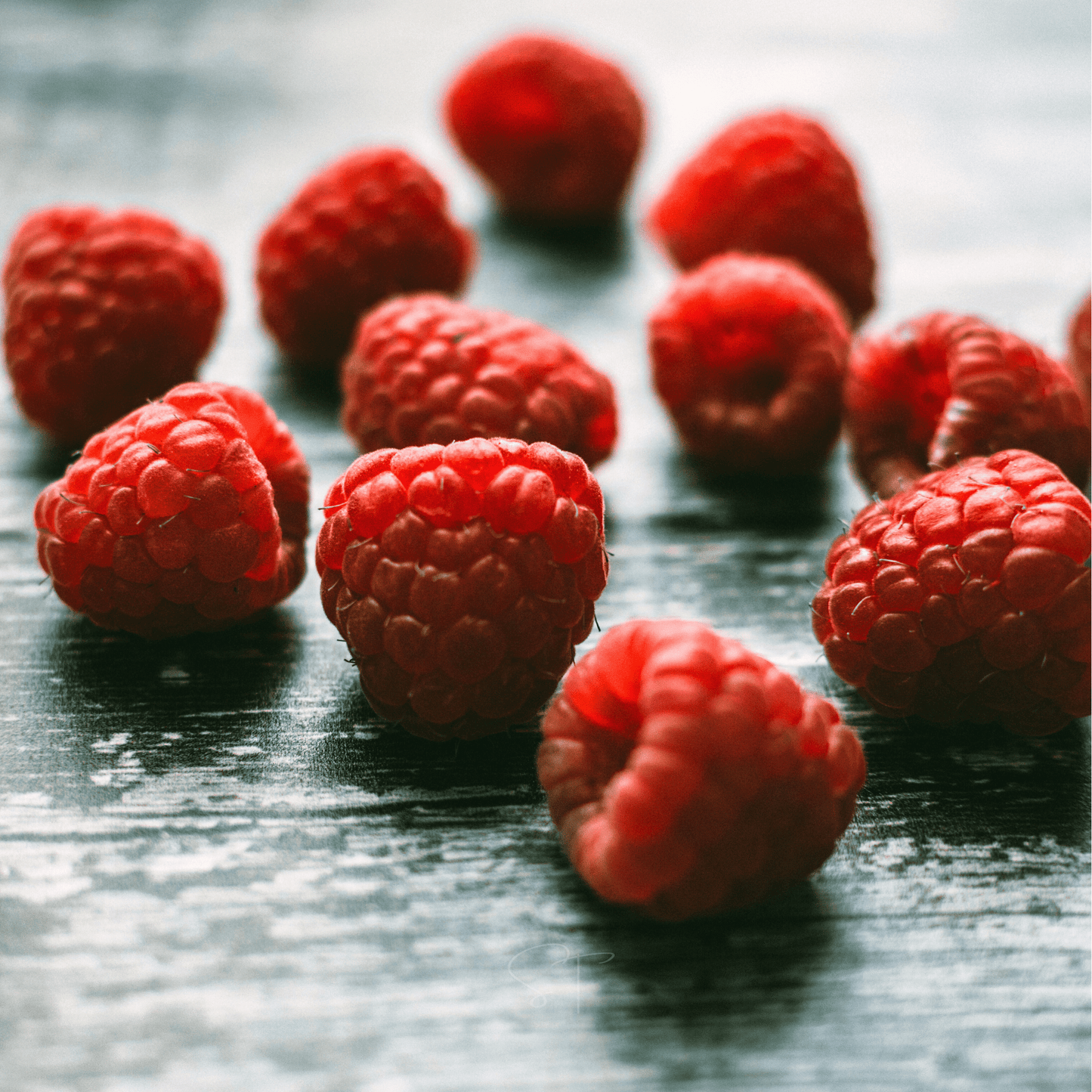 Red European Raspberry ā 30 Seeds