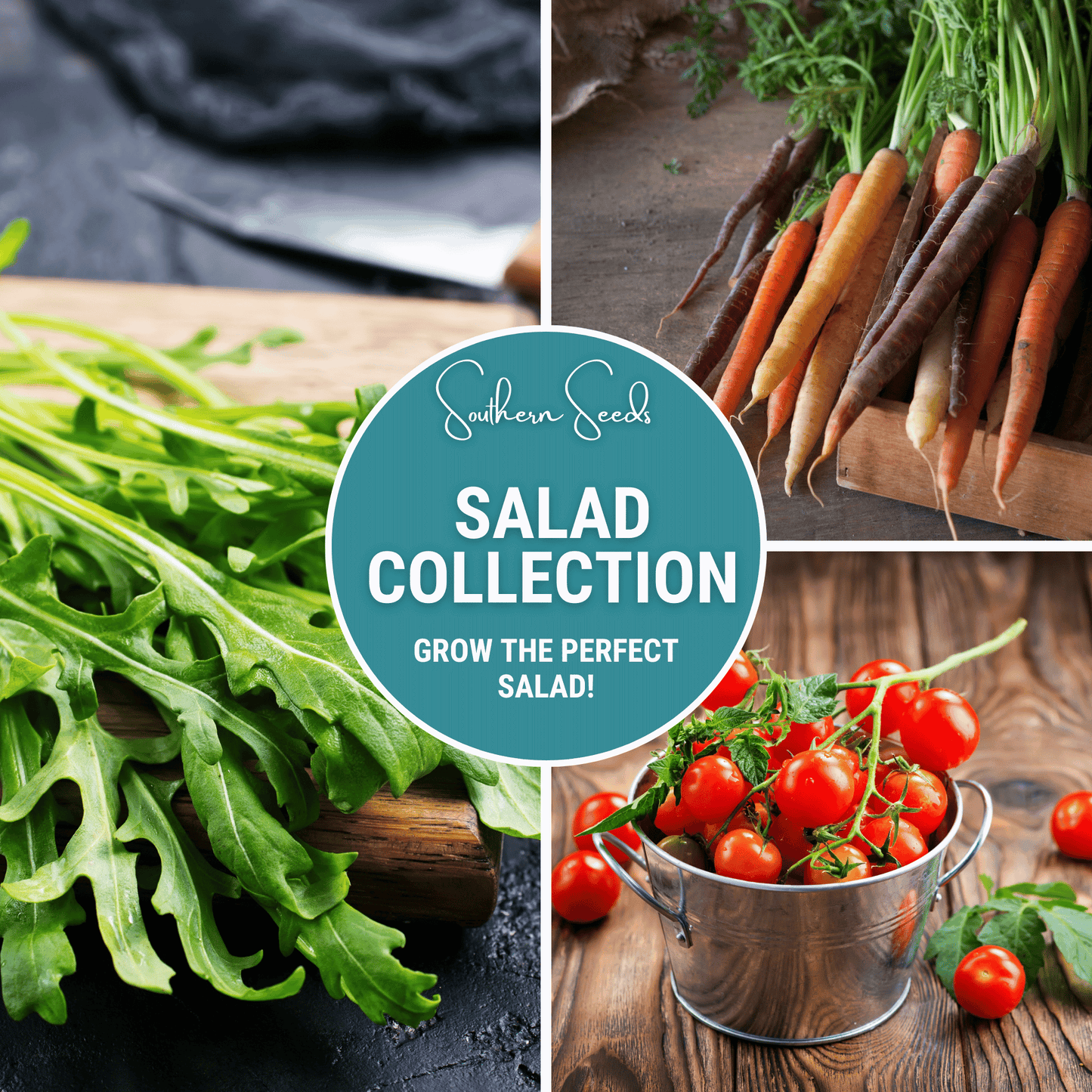 Salad Seed Collection ā 6 Varieties