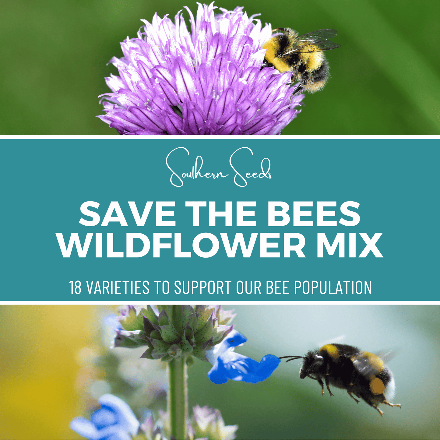 Save the Bees Wildflower Seed Mix (18 Varieties) ā 1,000 Seeds