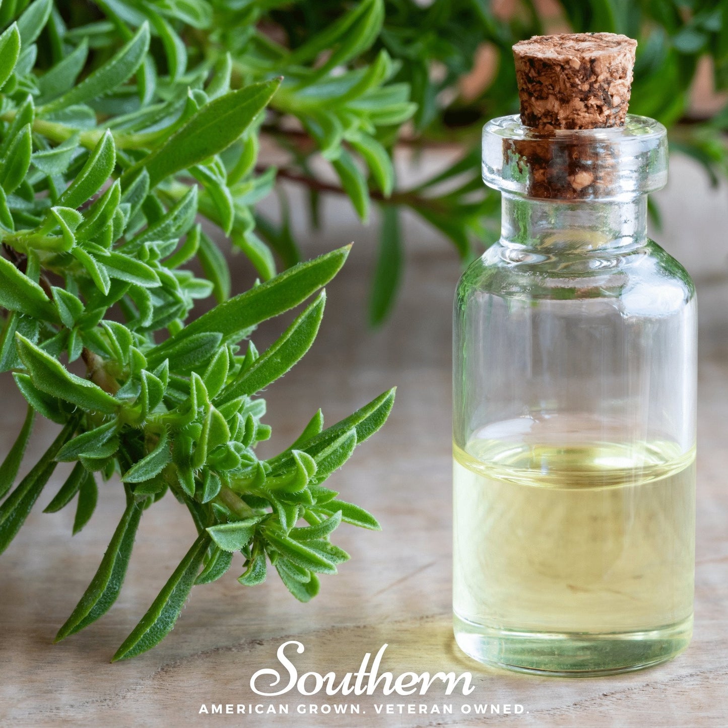 Winter Savory ā 100 Seeds