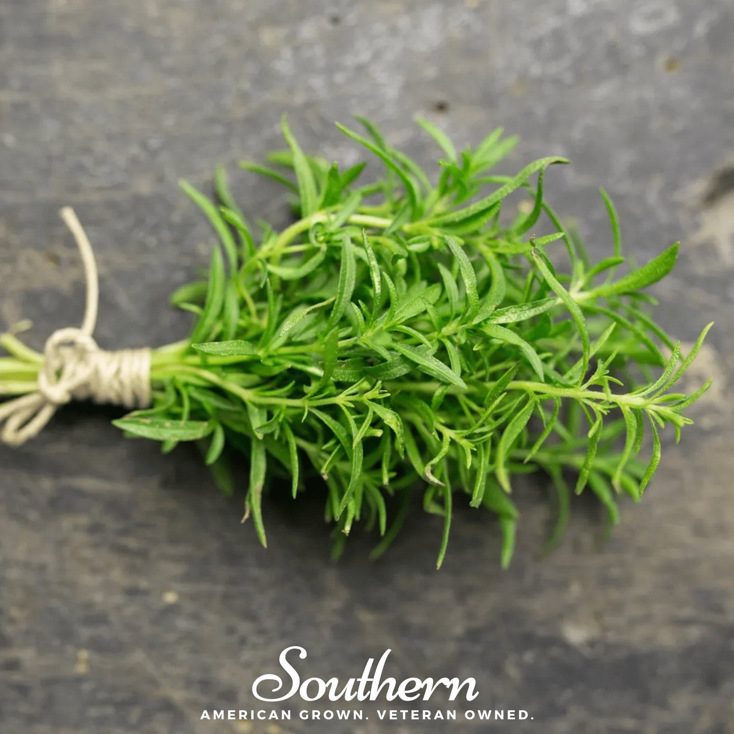 Winter Savory ā 100 Seeds