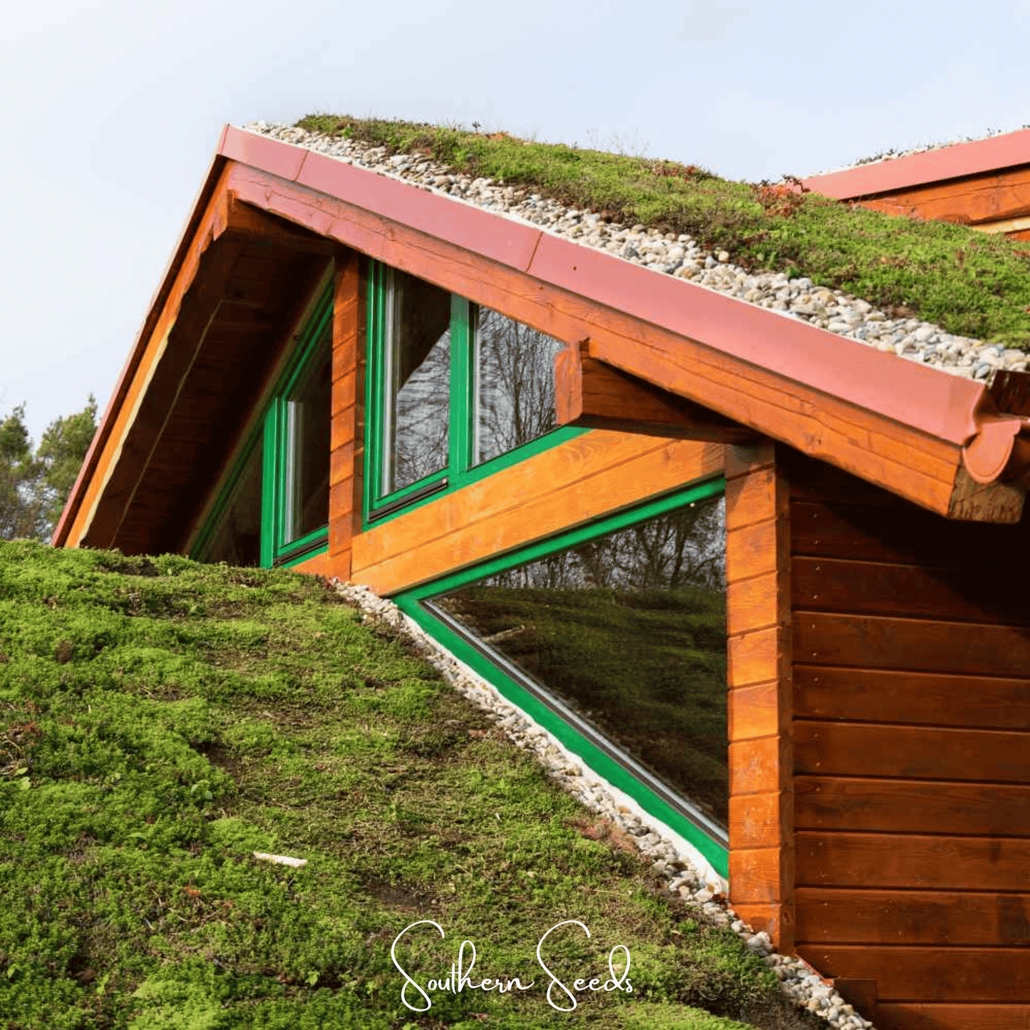 Sedum Roof Mix – 500 Seeds