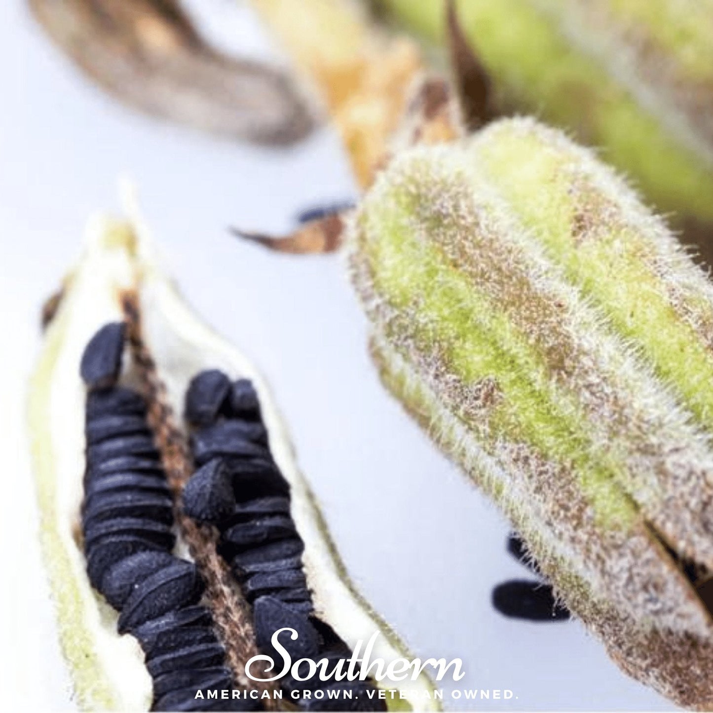 Black Sesame ā 100 Seeds