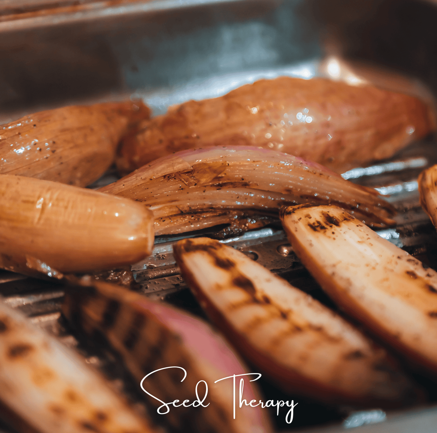 Zebrune Shallot ā 25 Seeds