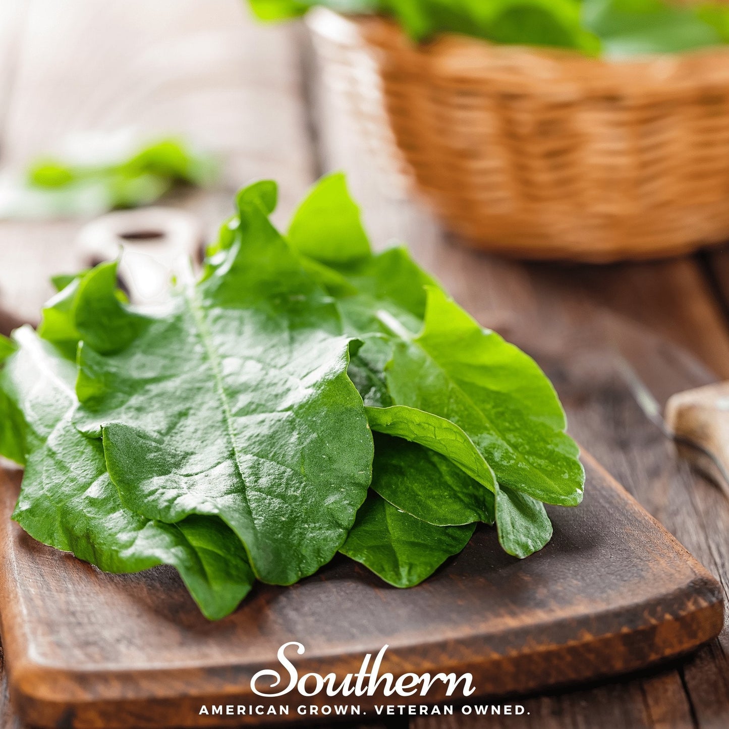 Garden Sorrel ā 200 Seeds