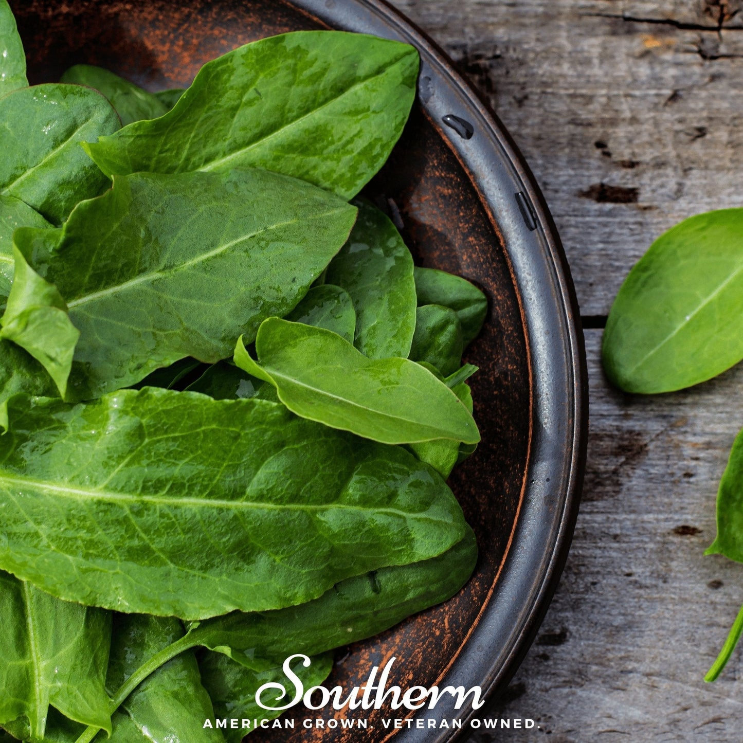 Garden Sorrel ā 200 Seeds