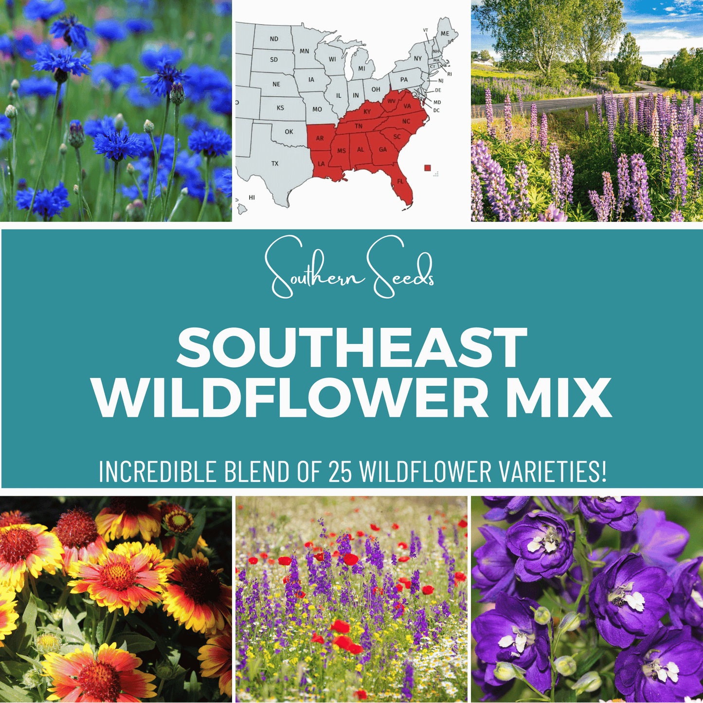 Southeast Wildflower Seed Mix (24 Varieties) ā 1,000 Seeds