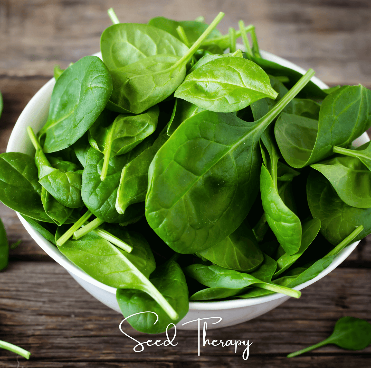 Bloomsdale Spinach ā 150 Seeds