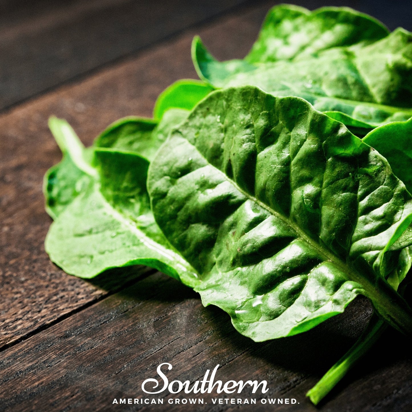Giant Noble Spinach ā 150 Seeds