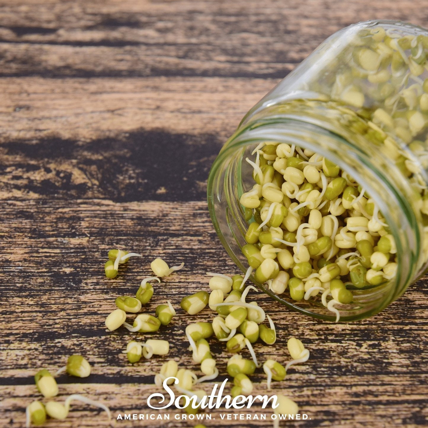 Mung Beans Sprout ā 500 Seeds