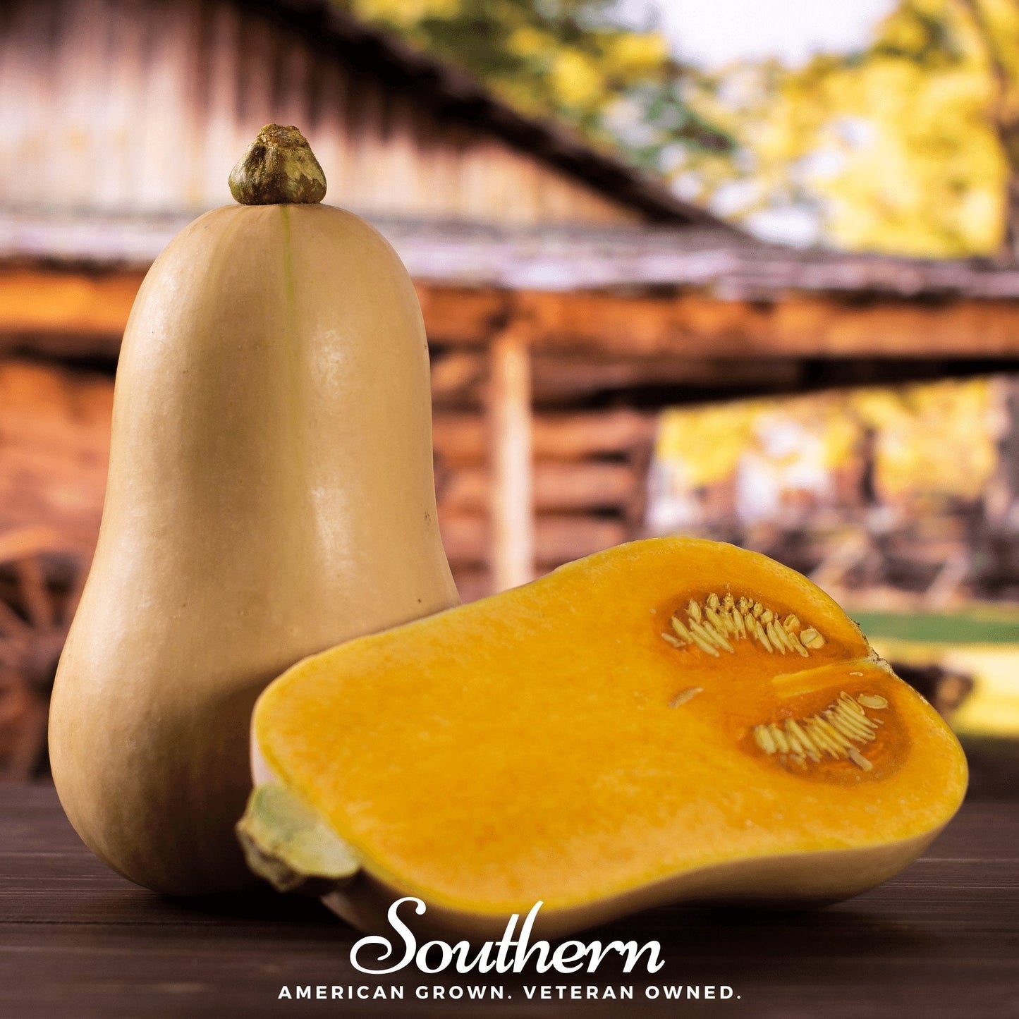 Waltham Butternut Winter Squash ā 25 Seeds
