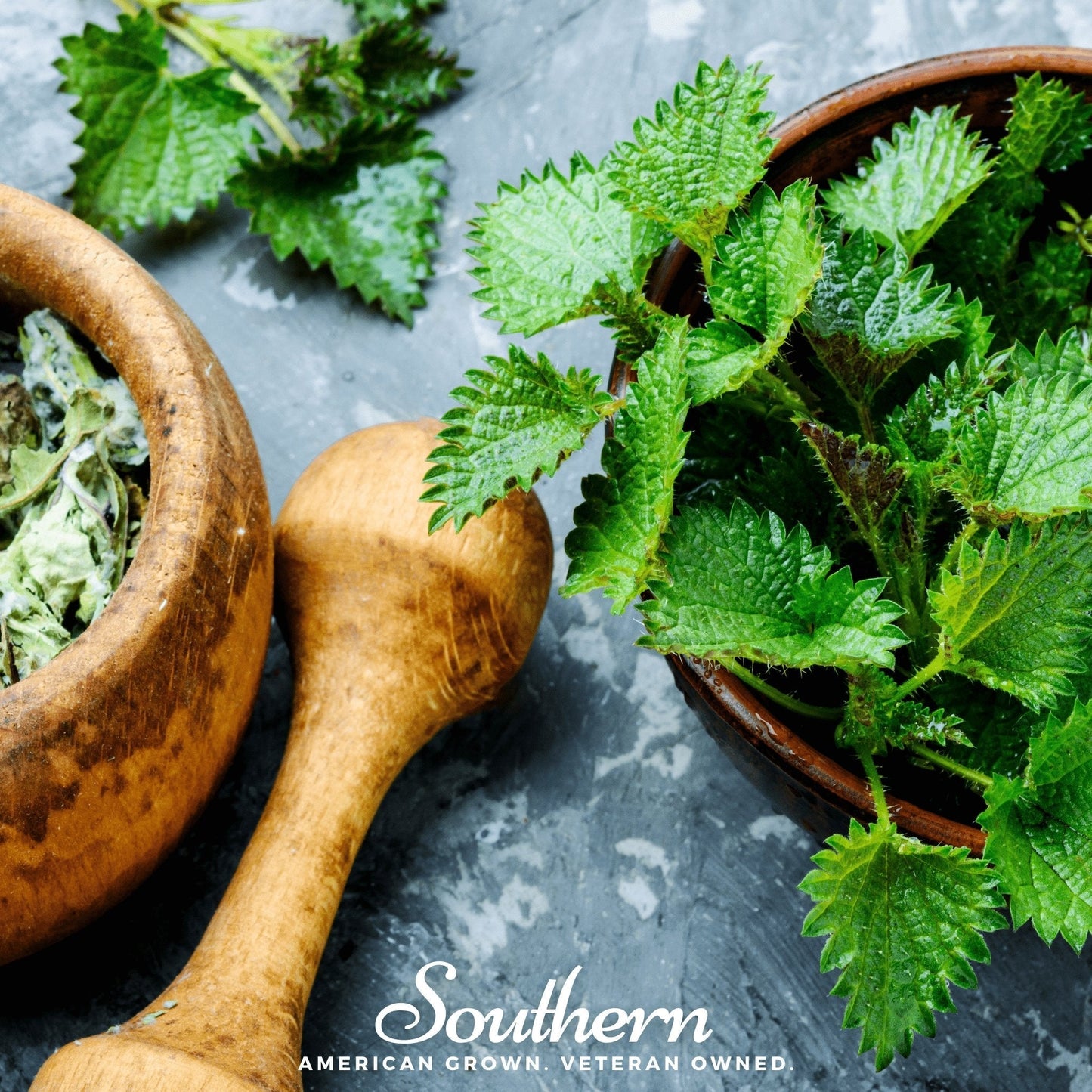 Stinging Nettle ā 100 Seeds