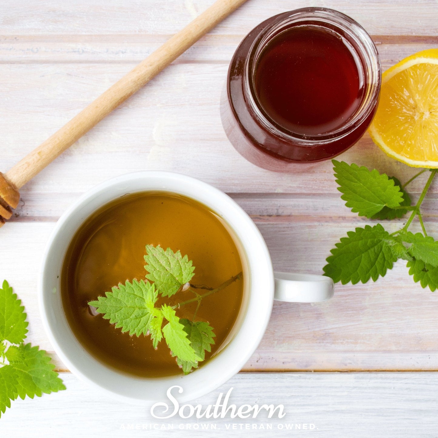 Stinging Nettle ā 100 Seeds