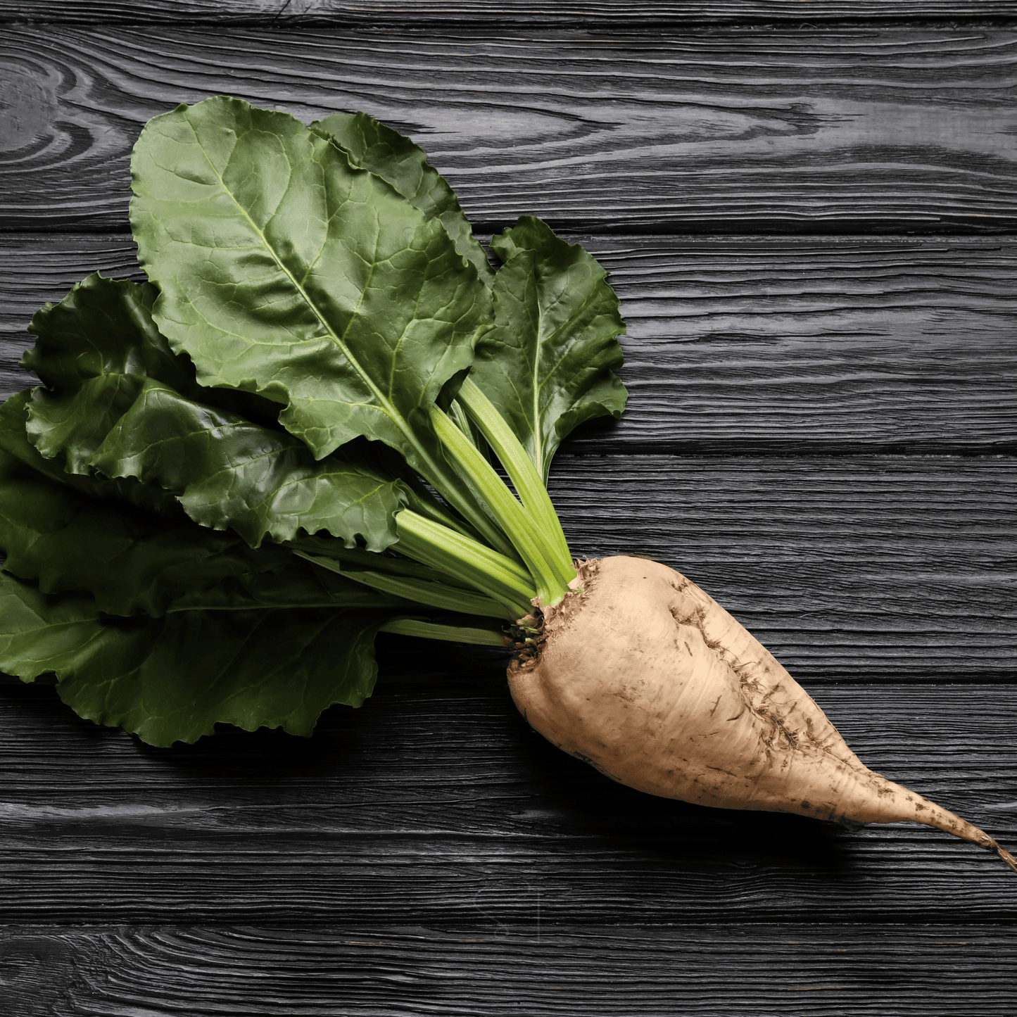 Sugar Beet – 50 Seeds