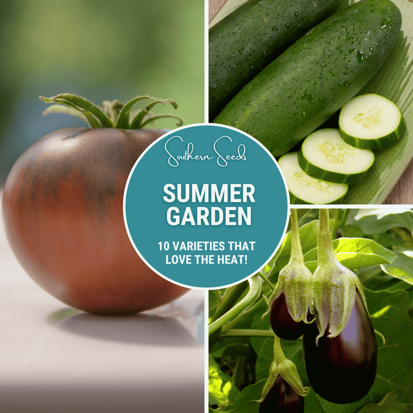 Summer Garden Seed Collection ā 10 Heat Loving Varieties