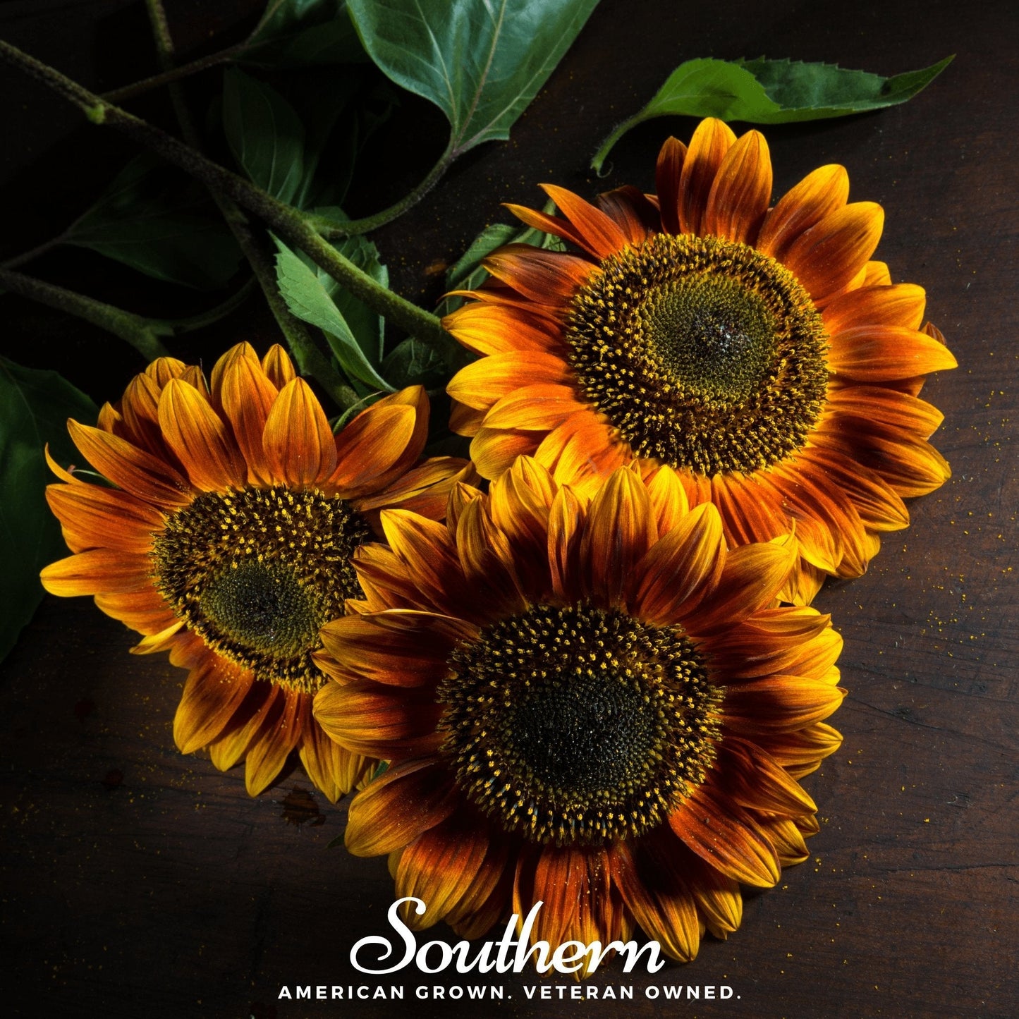Autumn Beauty Sunflower ā 25 Seeds