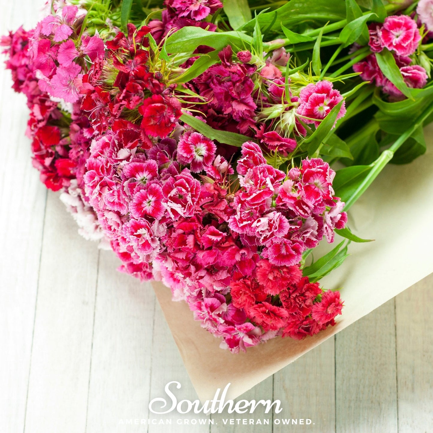Sweet William (Dianthus) ā 250 Seeds