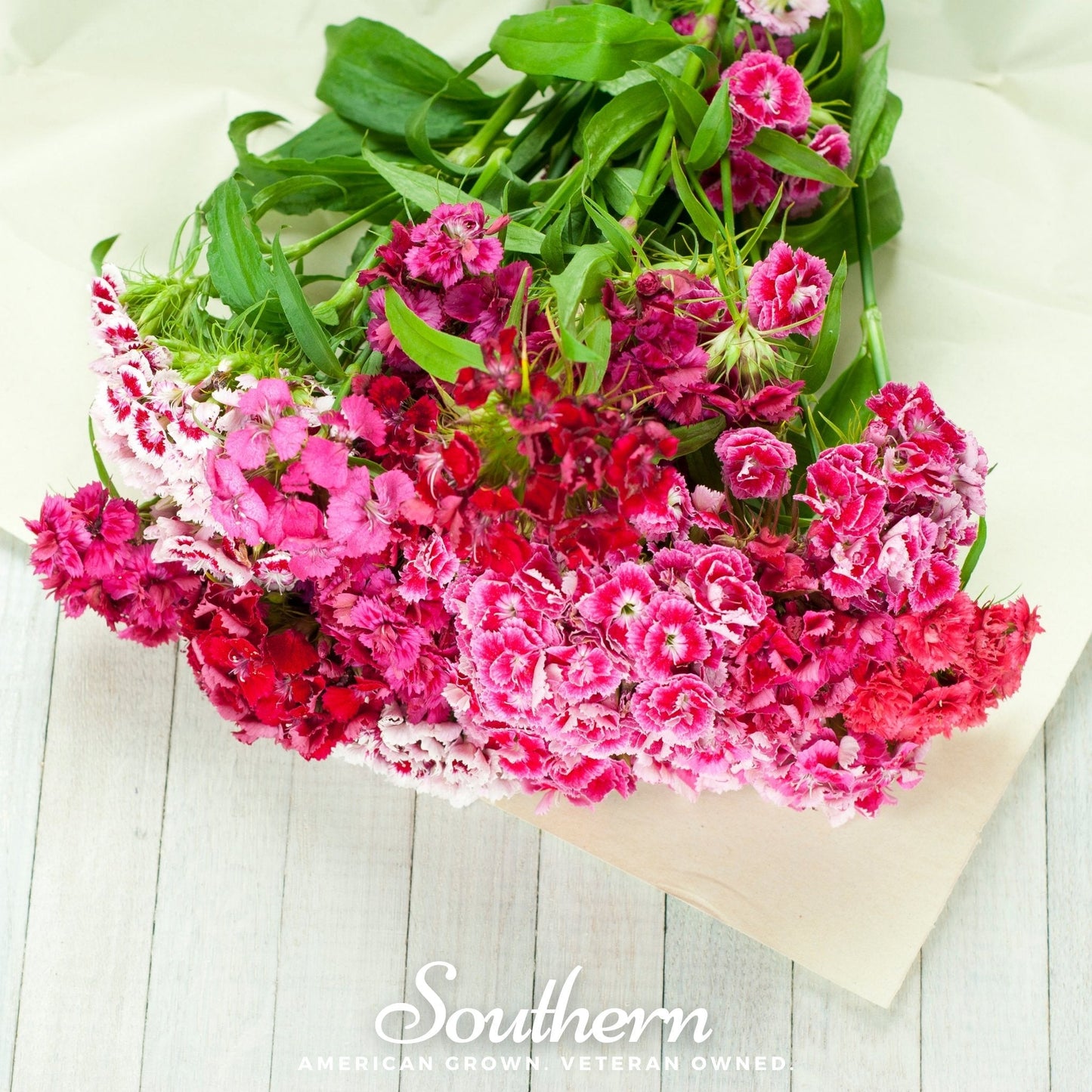 Sweet William (Dianthus) ā 250 Seeds