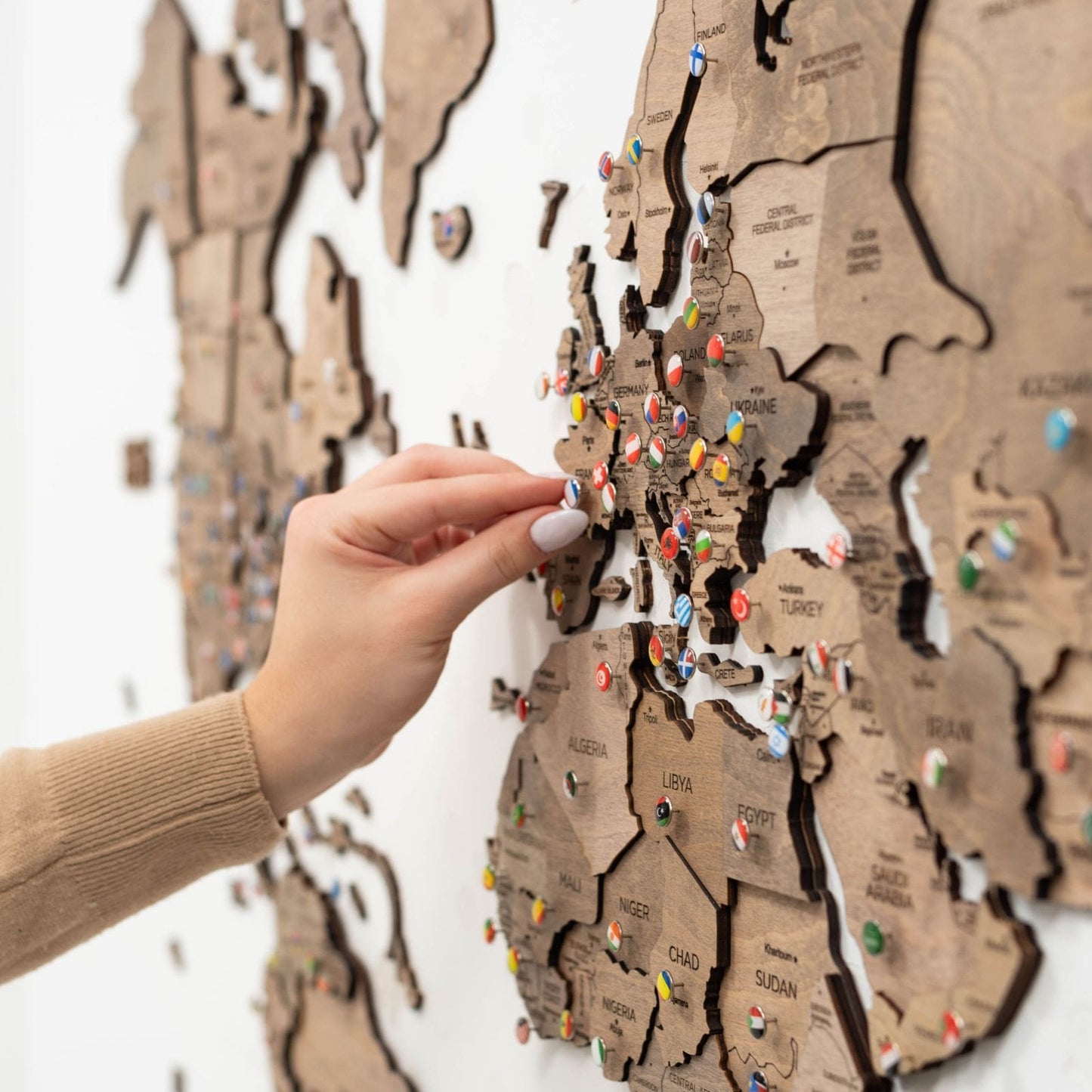 3D Wooden World Map Terra