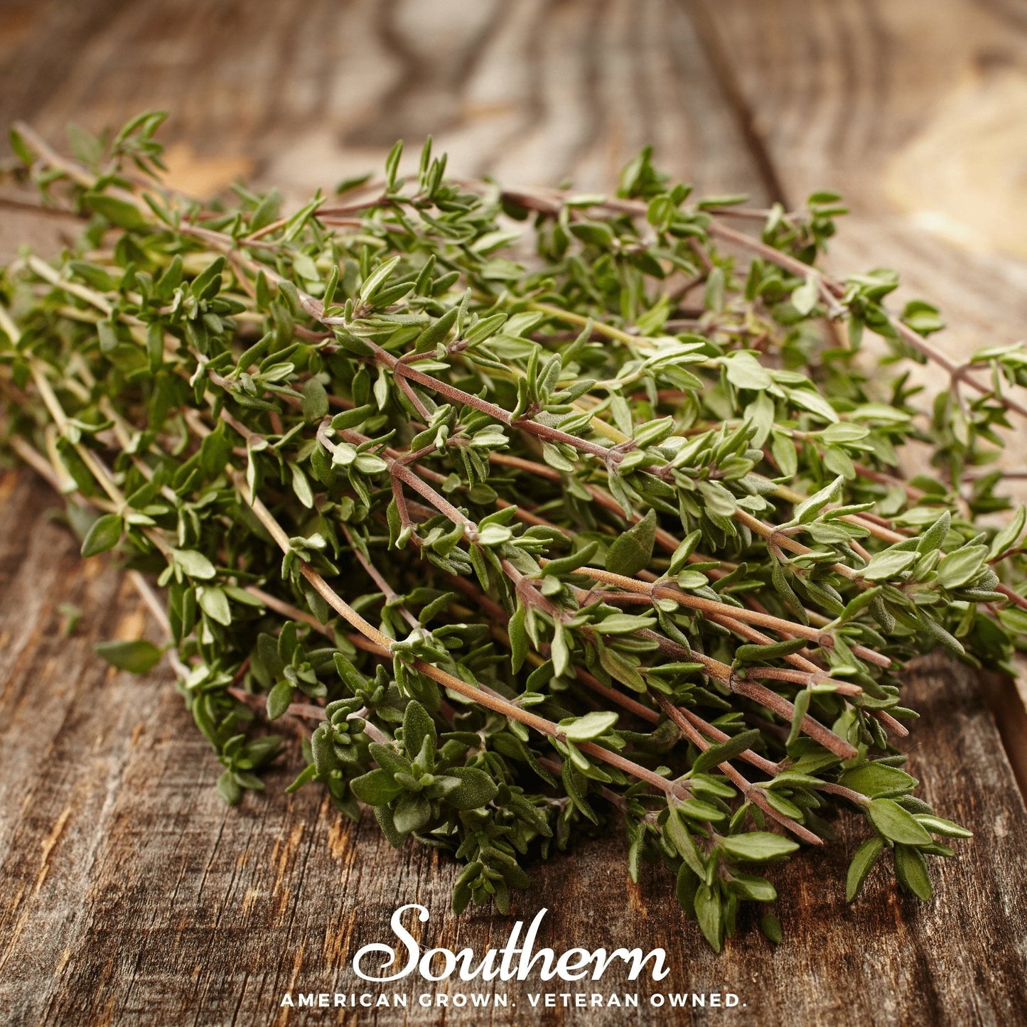 Common Thyme ā 250 Seeds