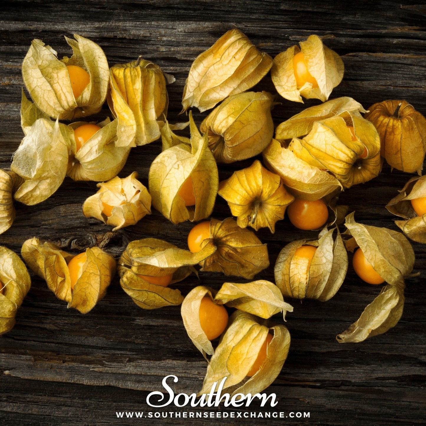 Husk Cherry Tomatillo ā 20 Seeds
