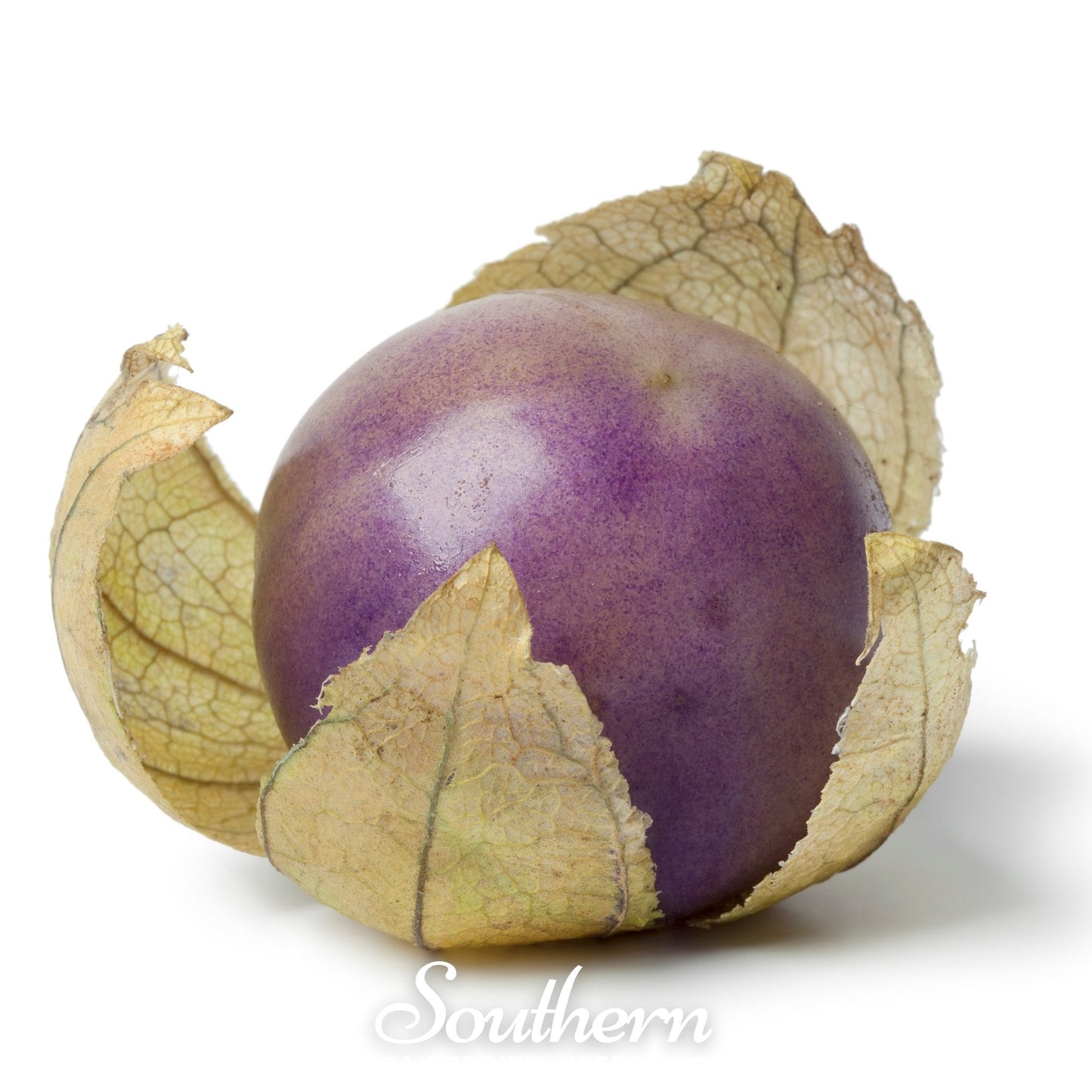 Purple Tomatillo ā 30 Seeds