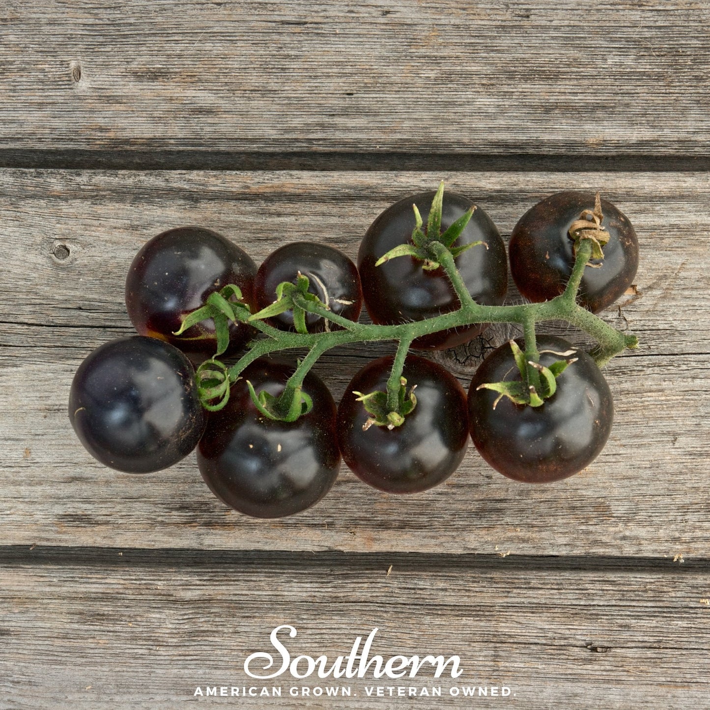 Black Cherry Tomato ā 20 Seeds