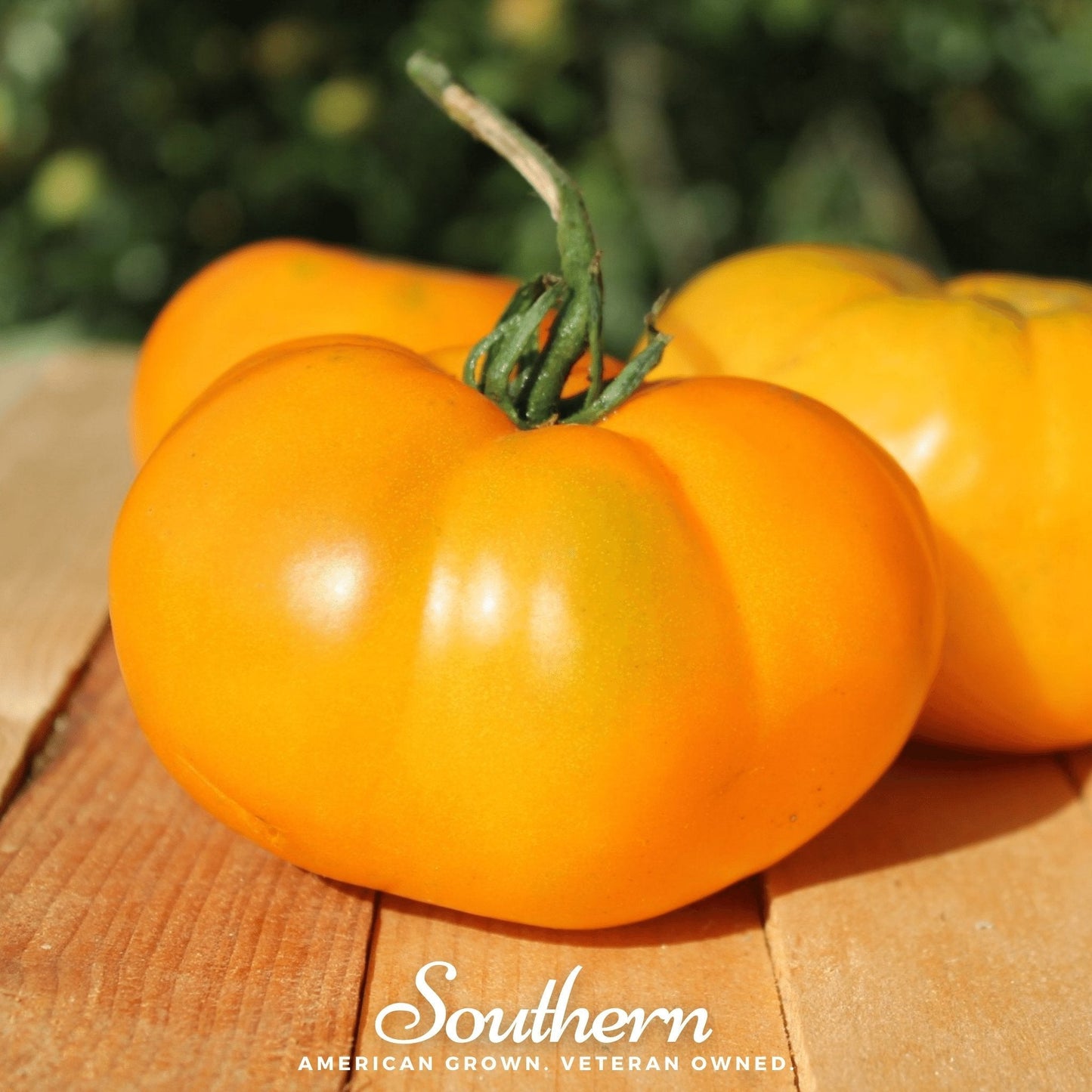 Yellow Brandywine Tomato ā 50 Seeds