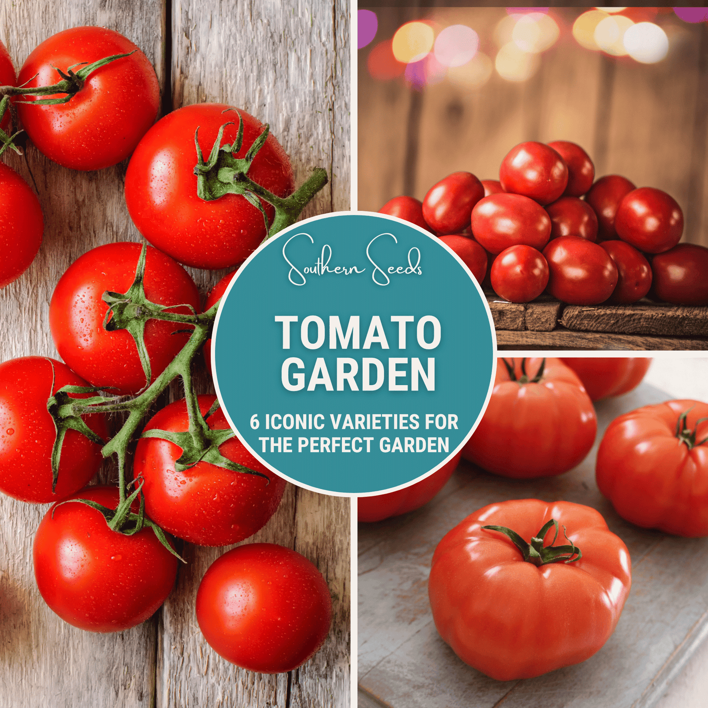 Tomato Garden Seed Collection ā 6 Varieties