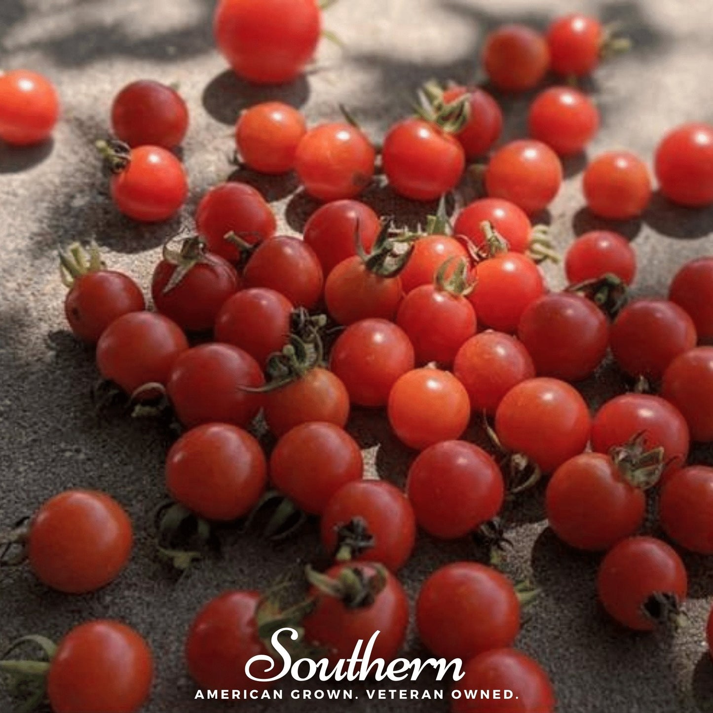 Sweetie Tomato ā 50 Seeds