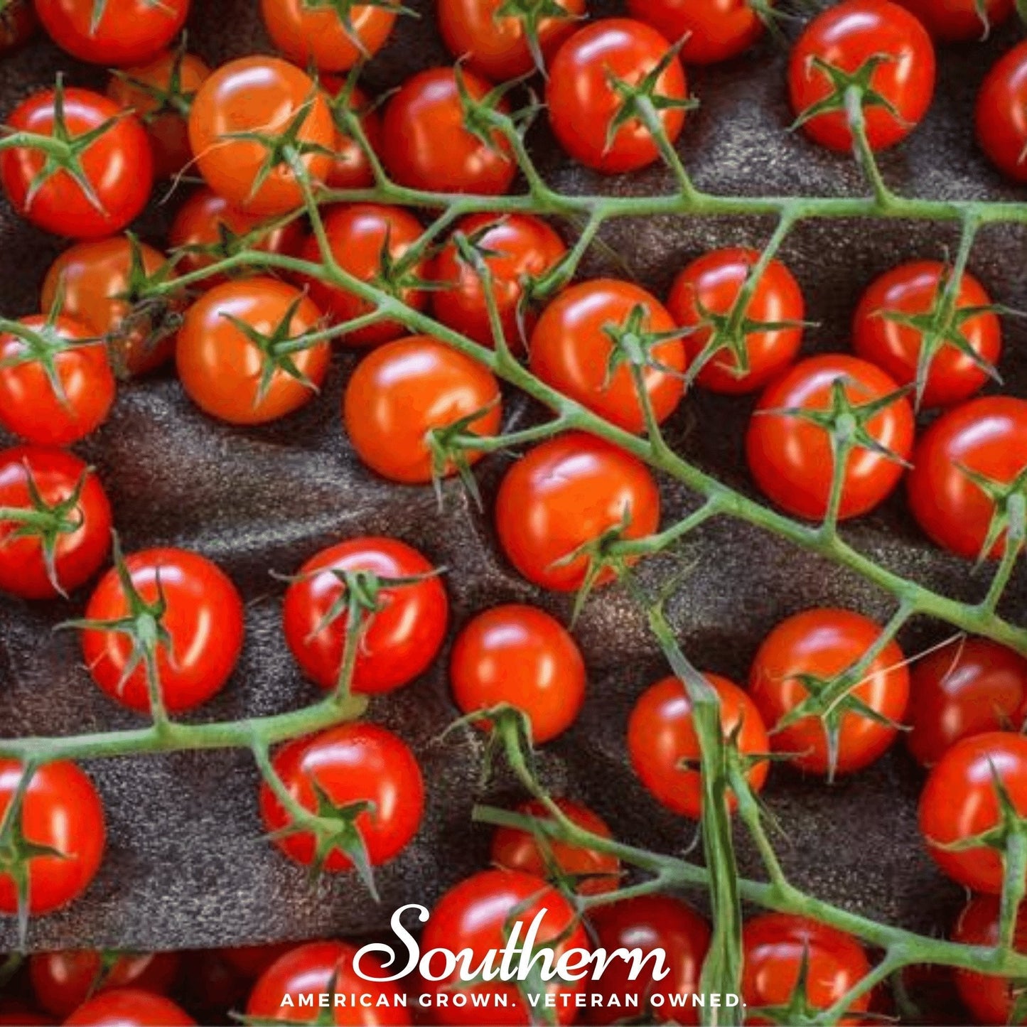 Sweetie Tomato ā 50 Seeds