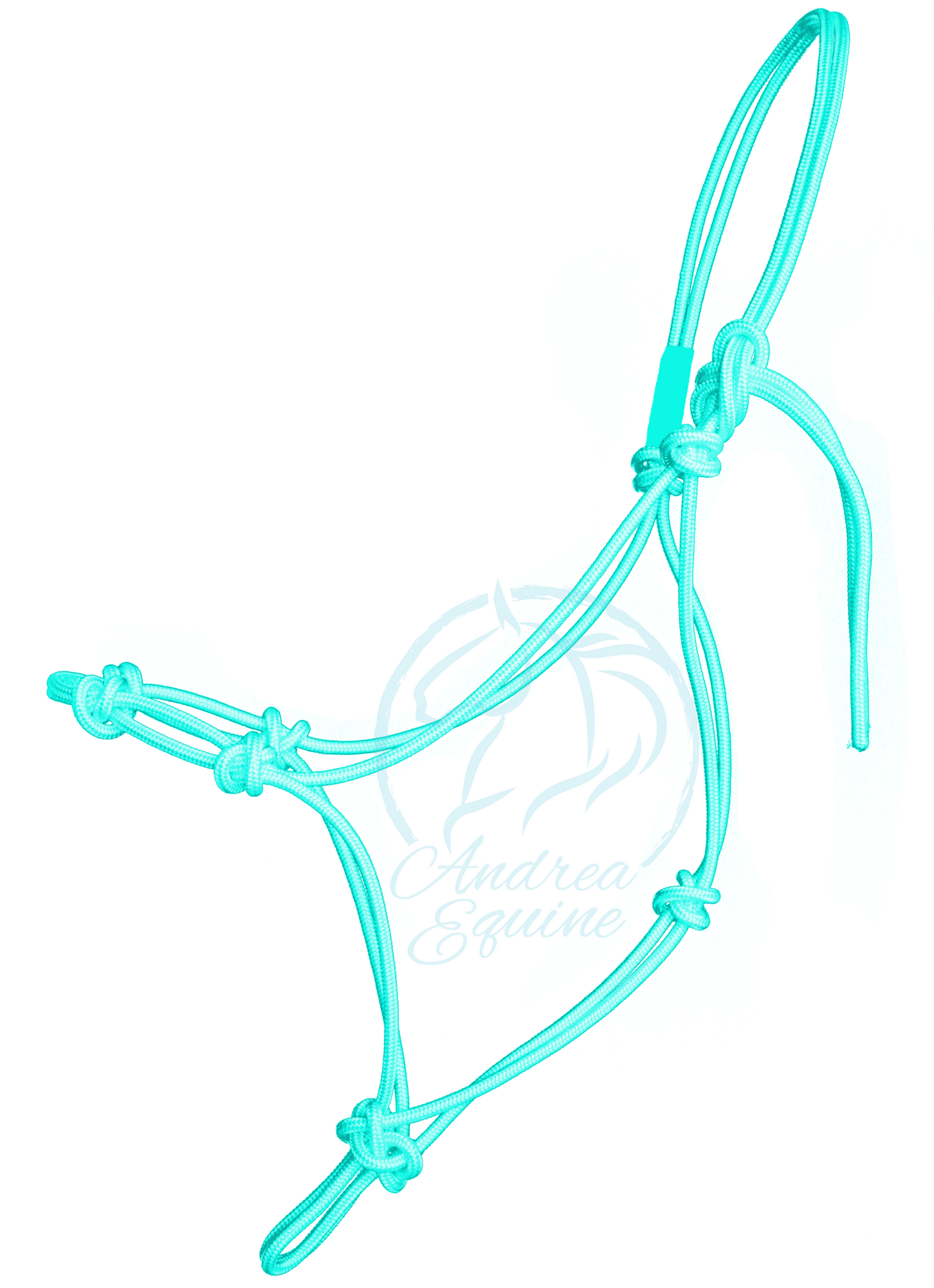 Stiff 4 Knot Clinician Training Halter