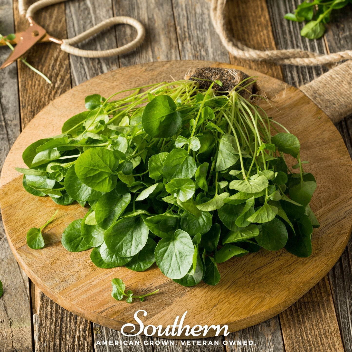 Watercress ā 200 Seeds