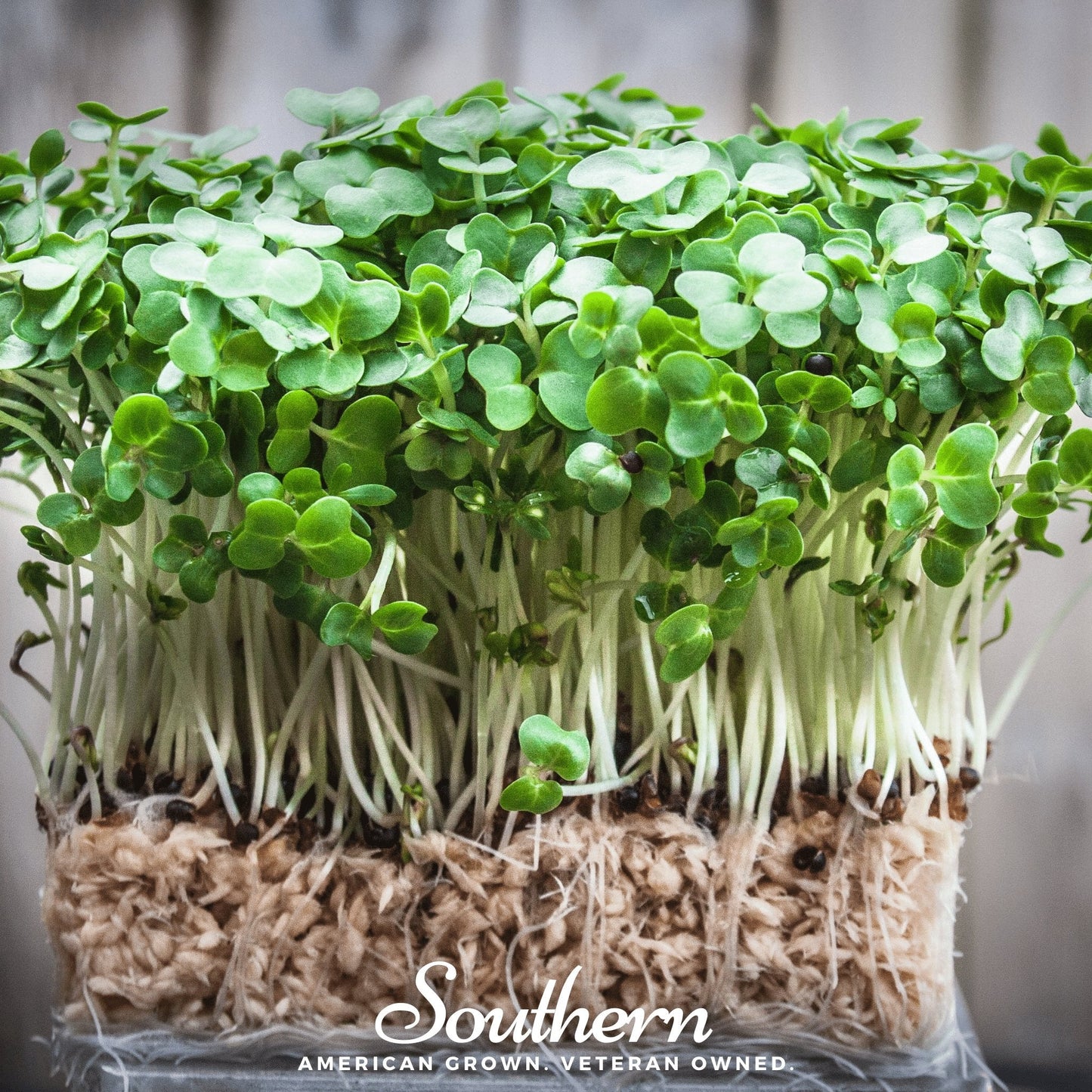 Watercress ā 200 Seeds
