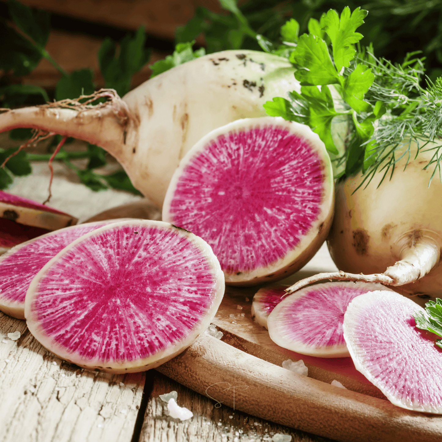 Watermelon Radish ā 50 Seeds
