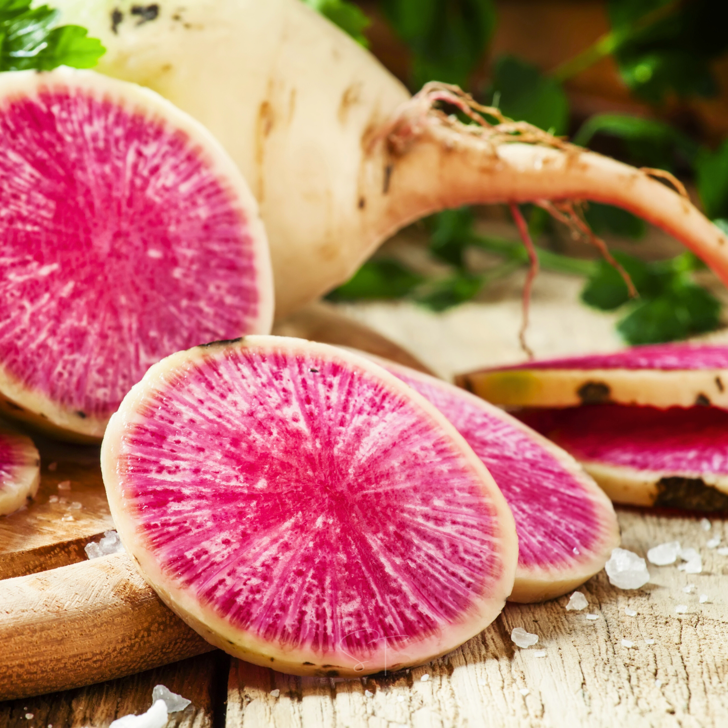 Watermelon Radish ā 50 Seeds