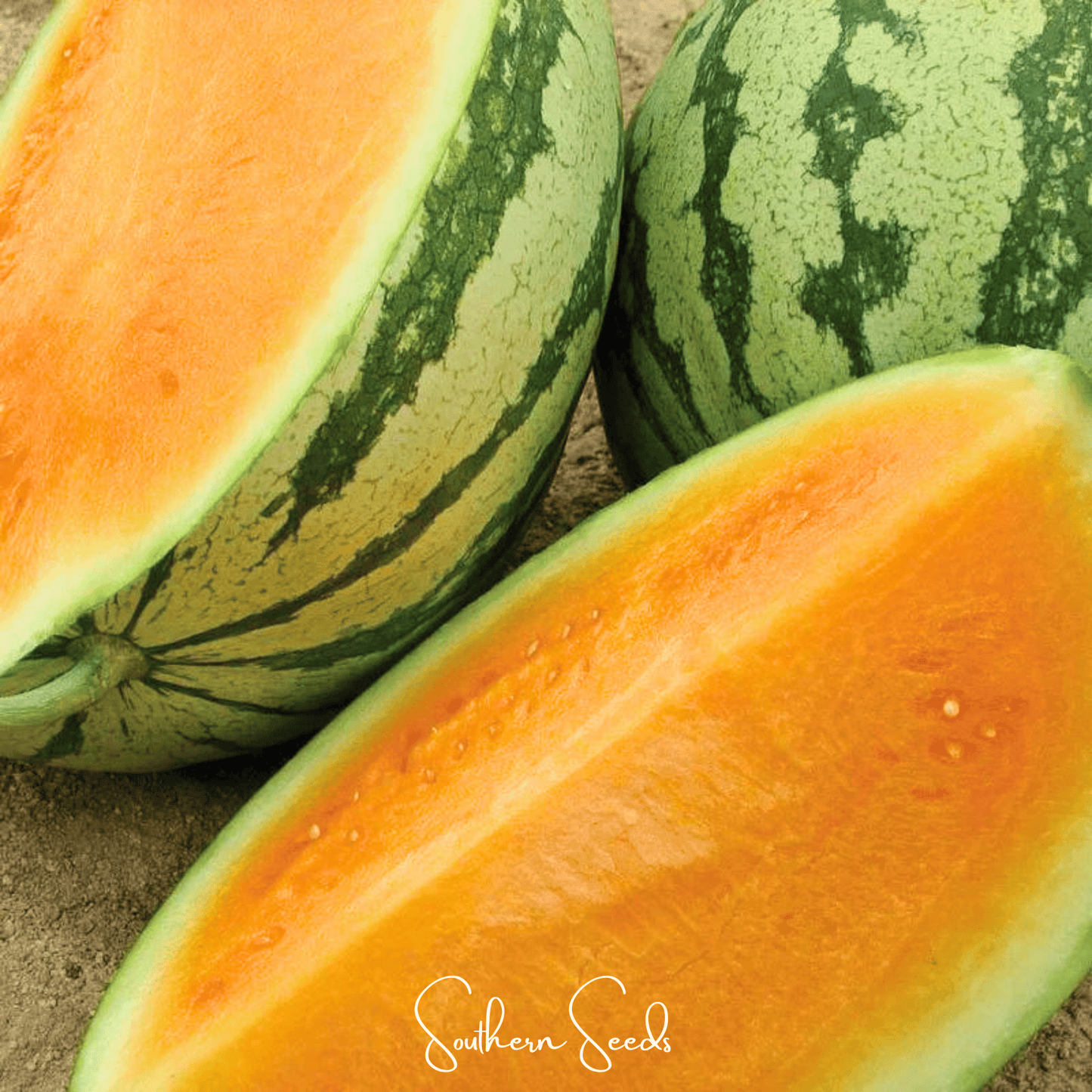 Tendersweet Orange Watermelon ā 25 Seeds