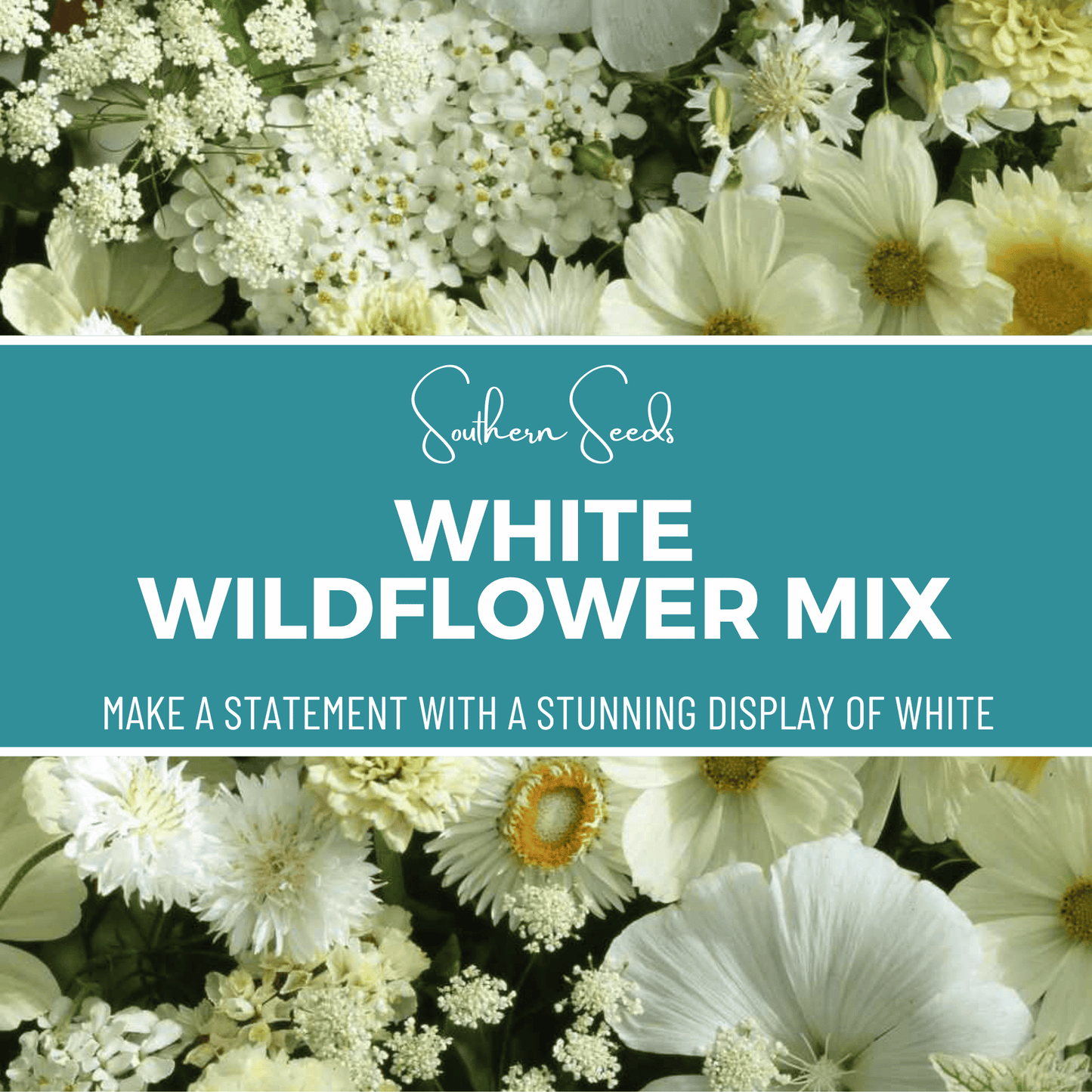 White Wildflower Seed Mix ā 100 Seeds