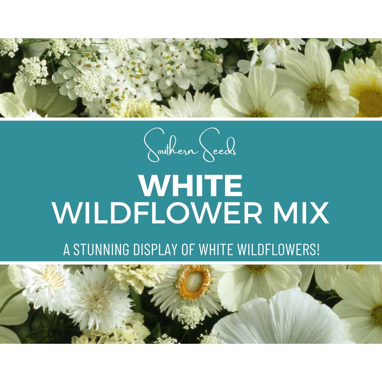 White Wildflower Seed Mix ā 100 Seeds