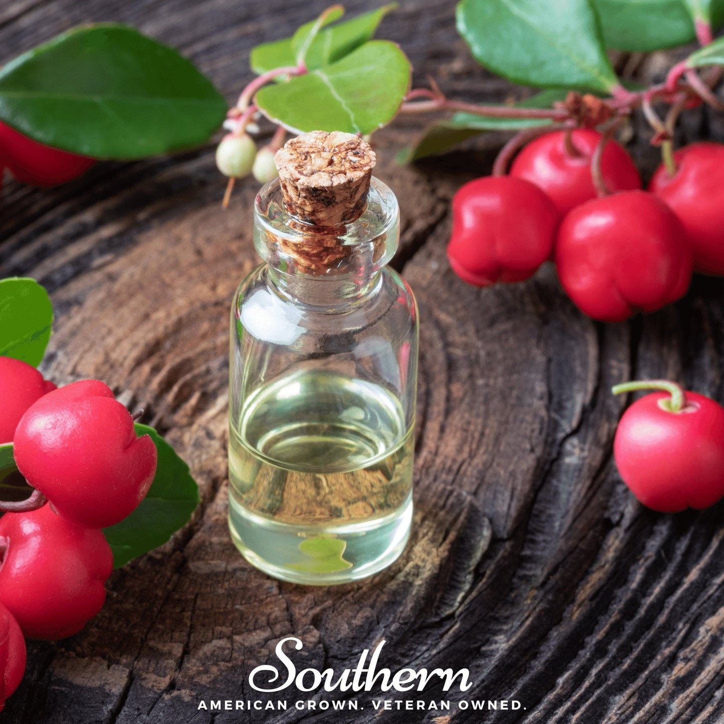 Wintergreen (Teaberry) ā 20 Seeds