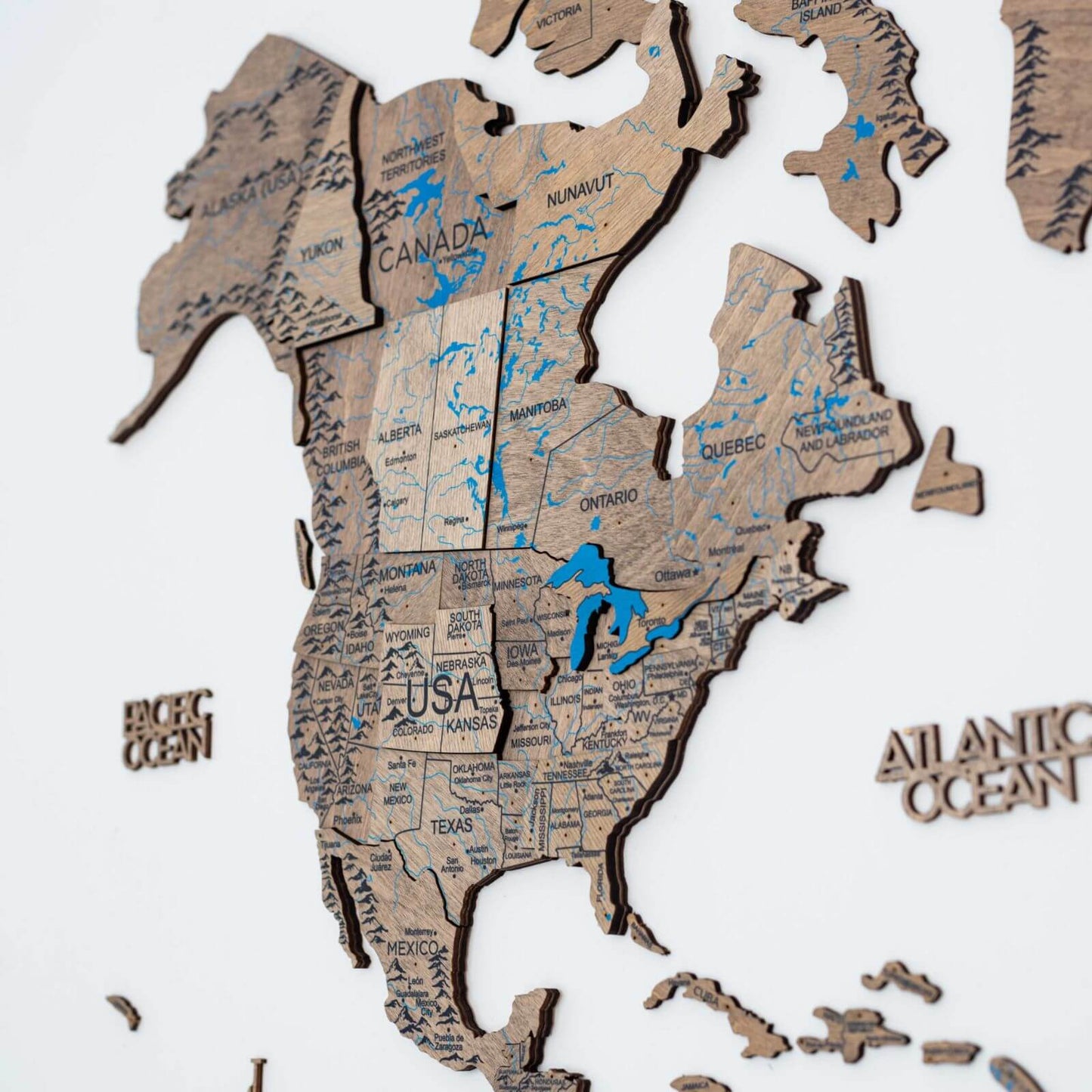 3D Wooden World Map Terra