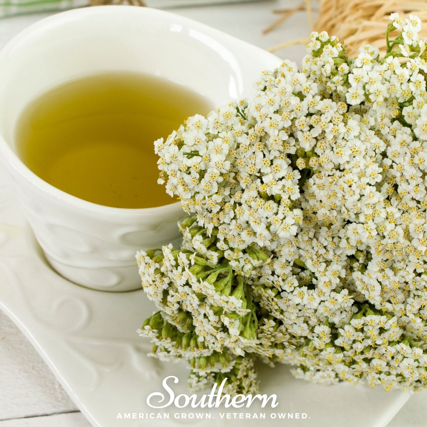 White Yarrow ā 100 Seeds
