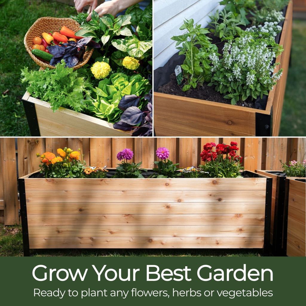 18" x 36" Planter Box - 24" TALL / Select Grade