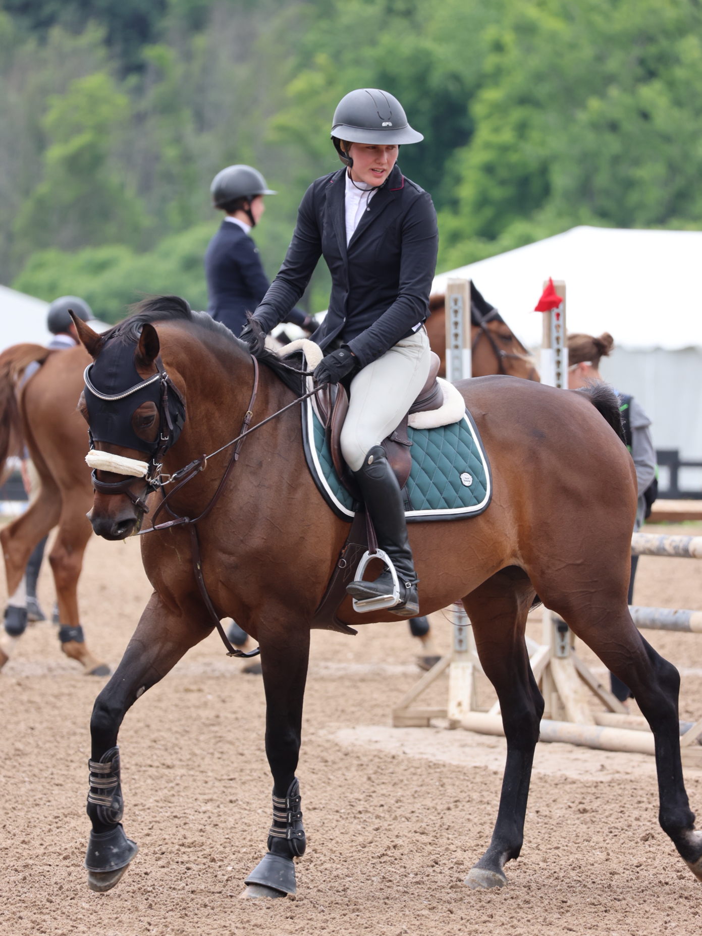 Jump Saddle Pad | Green- Black & White