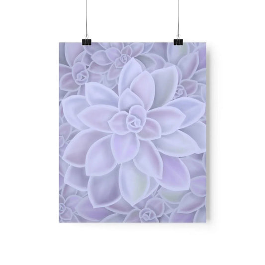 Graptopetalum Murasaki Succulent Pattern Botanical Print – Unframed Wall Art